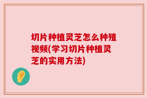切片种植灵芝怎么种殖视频(学习切片种植灵芝的实用方法)