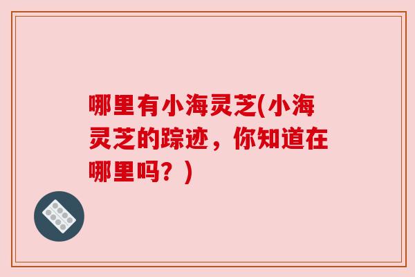 哪里有小海灵芝(小海灵芝的踪迹，你知道在哪里吗？)
