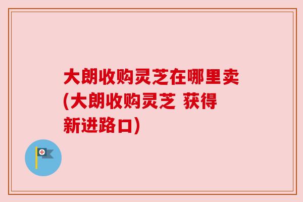 大朗收购灵芝在哪里卖(大朗收购灵芝 获得新进路口)
