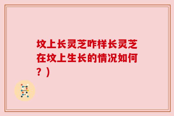 坟上长灵芝咋样长灵芝在坟上生长的情况如何？)