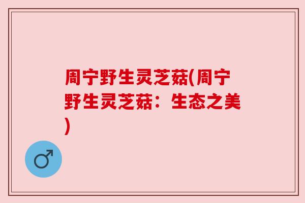 周宁野生灵芝菇(周宁野生灵芝菇:生态之美) 周宁野生灵芝菇(周宁野生灵芝菇:生态之美)