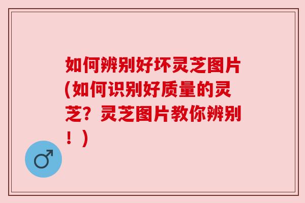 如何辨别好坏灵芝图片(如何识别好质量的灵芝?灵芝图片教你辨别!) 如何辨别好坏灵芝图片(如何识别好质量的灵芝?灵芝图片教你辨别!)