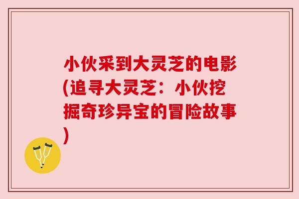 小伙采到大灵芝的电影(追寻大灵芝:小伙挖掘奇珍异宝的冒险故事) 小伙采到大灵芝的电影(追寻大灵芝:小伙挖掘奇珍异宝的冒险故事)