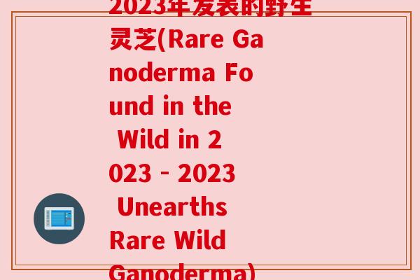 2023年发表的野生灵芝(Rare Ganoderma Found in the Wild in 2023 - 2023 Unearths Rare Wild Ganoderma) 2023年发表的野生灵芝(Rare Ganoderma Found in the Wild in 2023 - 2023 Unearths Rare Wild Ganoderma)