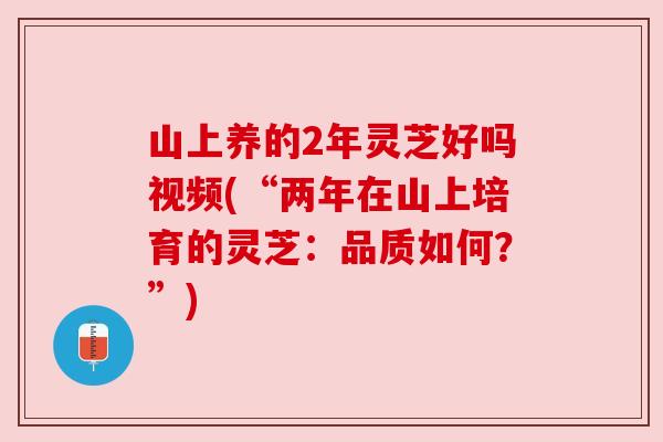 山上养的2年灵芝好吗视频(“两年在山上培育的灵芝：品质如何？”)