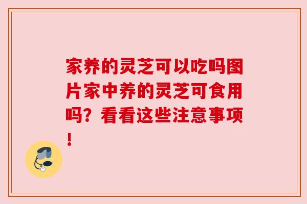 家养的灵芝可以吃吗图片家中养的灵芝可食用吗?看看这些注意事项! 家养的灵芝可以吃吗图片家中养的灵芝可食用吗?看看这些注意事项!