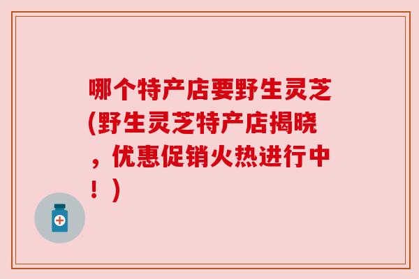 哪个特产店要野生灵芝(野生灵芝特产店揭晓,优惠促销火热进行中!) 哪个特产店要野生灵芝(野生灵芝特产店揭晓,优惠促销火热进行中!)