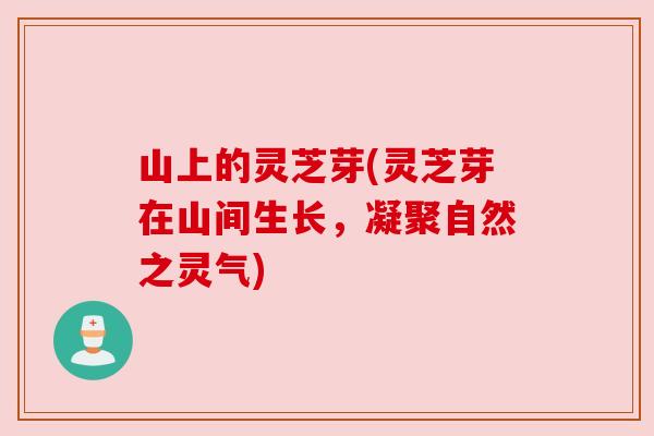 山上的灵芝芽(灵芝芽在山间生长，凝聚自然之灵气)