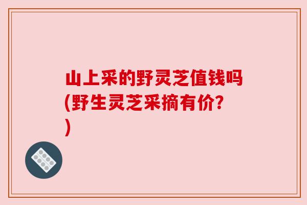 山上采的野灵芝值钱吗(野生灵芝采摘有价?) 山上采的野灵芝值钱吗(野生灵芝采摘有价?)