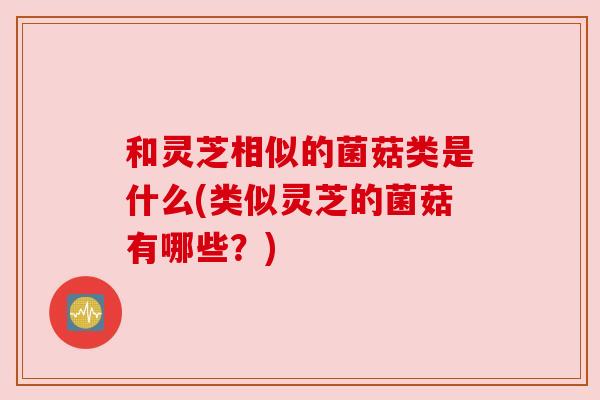 和灵芝相似的菌菇类是什么(类似灵芝的菌菇有哪些？)