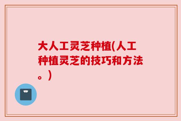 大人工灵芝种植(人工种植灵芝的技巧和方法。) 大人工灵芝种植(人工种植灵芝的技巧和方法。)