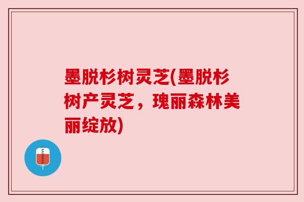 墨脱杉树灵芝(墨脱杉树产灵芝,瑰丽森林美丽绽放) 墨脱杉树灵芝(墨脱杉树产灵芝,瑰丽森林美丽绽放)
