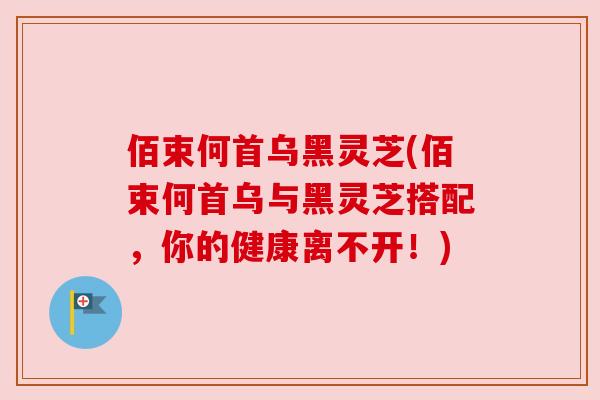 佰束何首乌黑灵芝(佰束何首乌与黑灵芝搭配,你的健康离不开!) 佰束何首乌黑灵芝(佰束何首乌与黑灵芝搭配,你的健康离不开!)