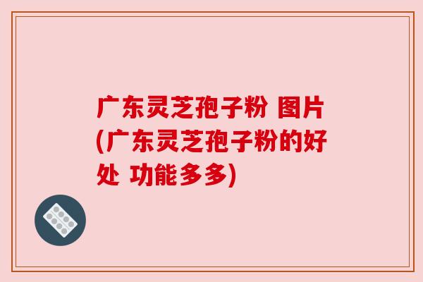广东灵芝孢子粉 图片(广东灵芝孢子粉的好处 功能多多) 广东灵芝孢子粉 图片(广东灵芝孢子粉的好处 功能多多)