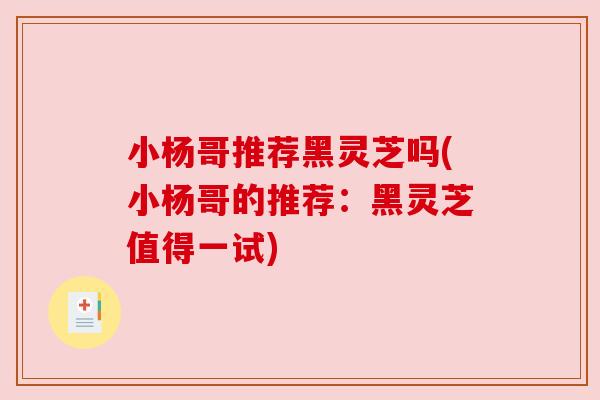 小杨哥推荐黑灵芝吗(小杨哥的推荐:黑灵芝值得一试) 小杨哥推荐黑灵芝吗(小杨哥的推荐:黑灵芝值得一试)