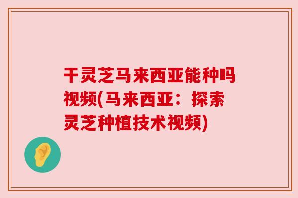 干灵芝马来西亚能种吗视频(马来西亚:探索灵芝种植技术视频) 干灵芝马来西亚能种吗视频(马来西亚:探索灵芝种植技术视频)