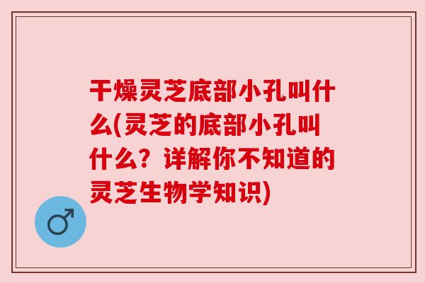 干燥灵芝底部小孔叫什么(灵芝的底部小孔叫什么?详解你不知道的灵芝生物学知识) 干燥灵芝底部小孔叫什么(灵芝的底部小孔叫什么?详解你不知道的灵芝生物学知识)