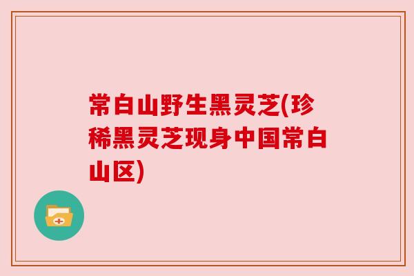 常白山野生黑灵芝(珍稀黑灵芝现身中国常白山区) 常白山野生黑灵芝(珍稀黑灵芝现身中国常白山区)