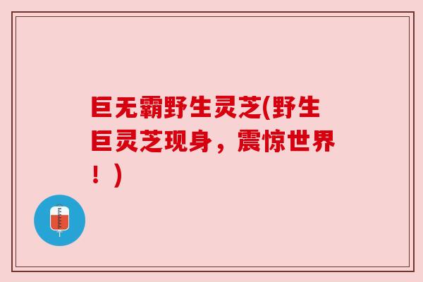 巨无霸野生灵芝(野生巨灵芝现身，震惊世界！)