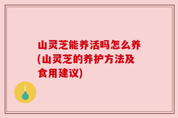 山灵芝能养活吗怎么养(山灵芝的养护方法及食用建议)
