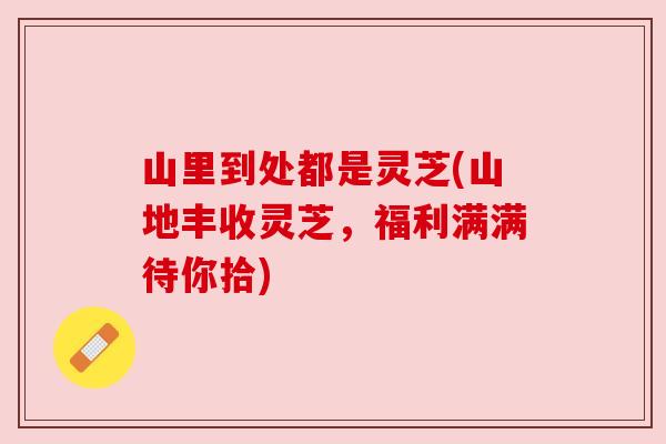 山里到处都是灵芝(山地丰收灵芝,福利满满待你拾) 山里到处都是灵芝(山地丰收灵芝,福利满满待你拾)