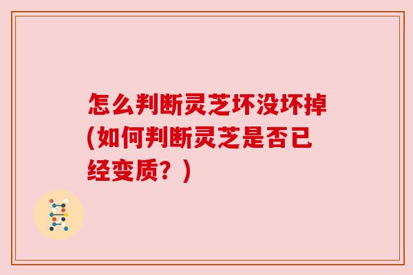 怎么判断灵芝坏没坏掉(如何判断灵芝是否已经变质？)