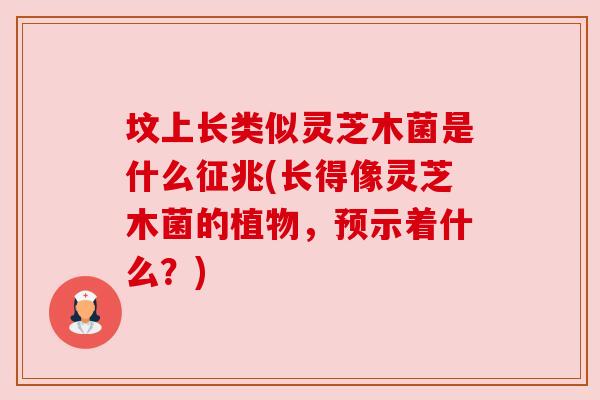 坟上长类似灵芝木菌是什么征兆(长得像灵芝木菌的植物,预示着什么?) 坟上长类似灵芝木菌是什么征兆(长得像灵芝木菌的植物,预示着什么?)