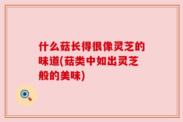 什么菇长得很像灵芝的味道(菇类中如出灵芝般的美味) 什么菇长得很像灵芝的味道(菇类中如出灵芝般的美味)
