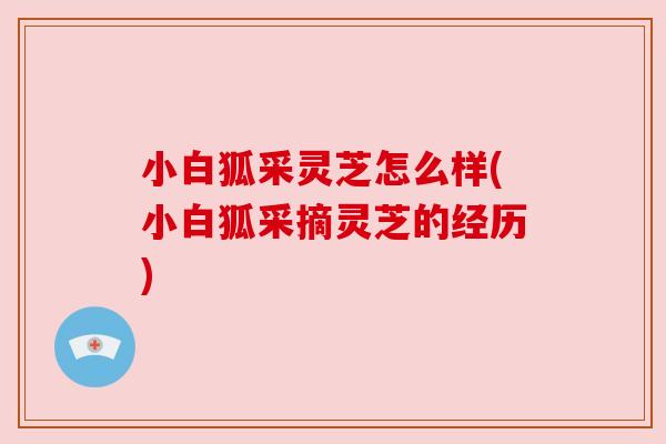 小白狐采灵芝怎么样(小白狐采摘灵芝的经历)