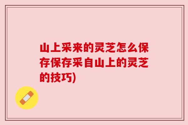山上采来的灵芝怎么保存保存采自山上的灵芝的技巧) 山上采来的灵芝怎么保存保存采自山上的灵芝的技巧)