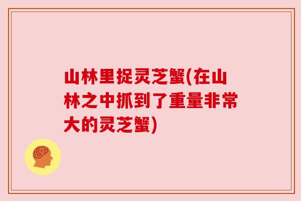 山林里捉灵芝蟹(在山林之中抓到了重量非常大的灵芝蟹) 山林里捉灵芝蟹(在山林之中抓到了重量非常大的灵芝蟹)