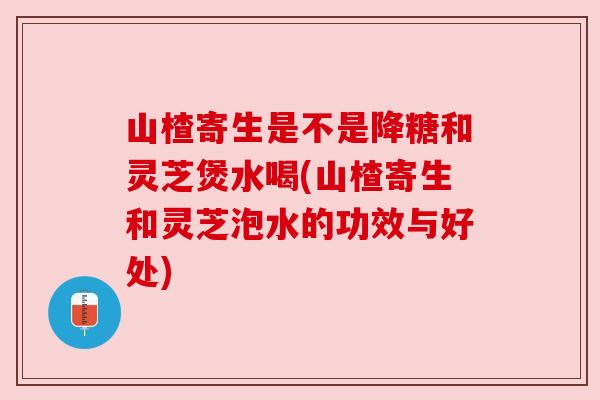 山楂寄生是不是降糖和灵芝煲水喝(山楂寄生和灵芝泡水的功效与好处)