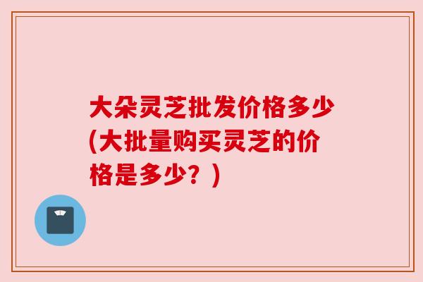 大朵灵芝批发价格多少(大批量购买灵芝的价格是多少？)