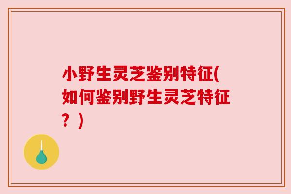 小野生灵芝鉴别特征(如何鉴别野生灵芝特征？)