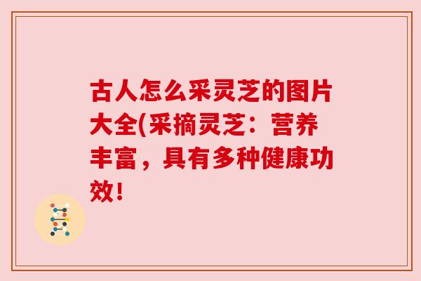 古人怎么采灵芝的图片大全(采摘灵芝:营养丰富,具有多种健康功效! 古人怎么采灵芝的图片大全(采摘灵芝:营养丰富,具有多种健康功效!