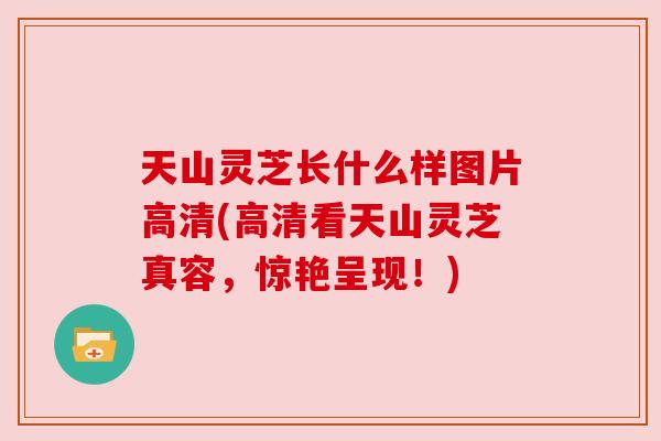 天山灵芝长什么样图片高清(高清看天山灵芝真容,惊艳呈现!) 天山灵芝长什么样图片高清(高清看天山灵芝真容,惊艳呈现!)