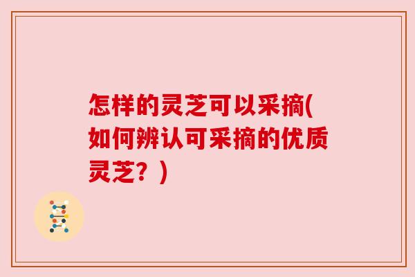 怎样的灵芝可以采摘(如何辨认可采摘的优质灵芝?) 怎样的灵芝可以采摘(如何辨认可采摘的优质灵芝?)