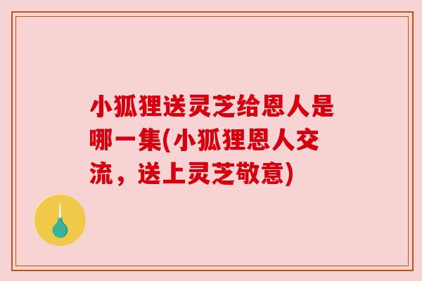 小狐狸送灵芝给恩人是哪一集(小狐狸恩人交流,送上灵芝敬意) 小狐狸送灵芝给恩人是哪一集(小狐狸恩人交流,送上灵芝敬意)