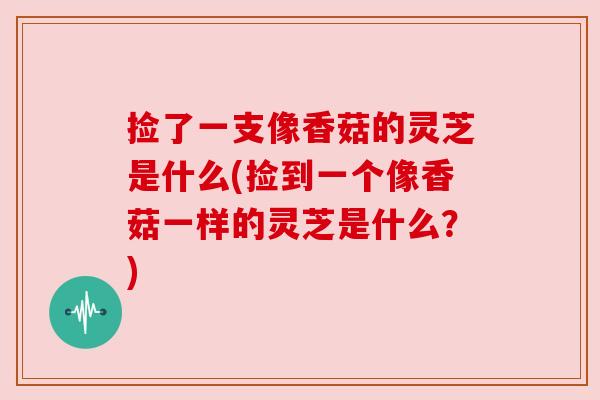 捡了一支像香菇的灵芝是什么(捡到一个像香菇一样的灵芝是什么?) 捡了一支像香菇的灵芝是什么(捡到一个像香菇一样的灵芝是什么?)