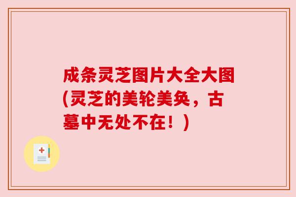 成条灵芝图片大全大图(灵芝的美轮美奂,古墓中无处不在!) 成条灵芝图片大全大图(灵芝的美轮美奂,古墓中无处不在!)