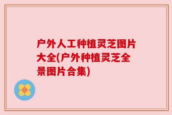 户外人工种植灵芝图片大全(户外种植灵芝全景图片合集) 户外人工种植灵芝图片大全(户外种植灵芝全景图片合集)