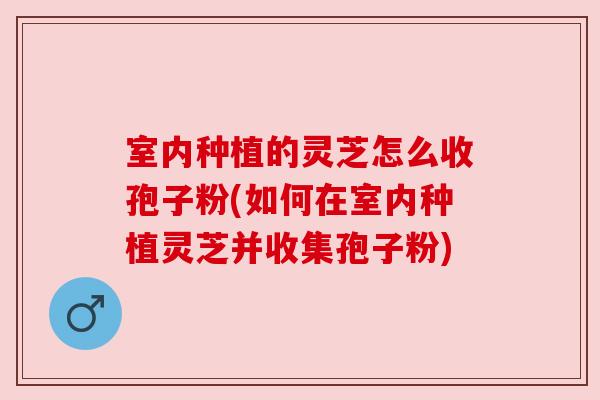 室内种植的灵芝怎么收孢子粉(如何在室内种植灵芝并收集孢子粉)