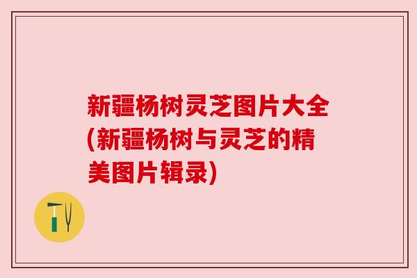 新疆杨树灵芝图片大全(新疆杨树与灵芝的精美图片辑录) 新疆杨树灵芝图片大全(新疆杨树与灵芝的精美图片辑录)