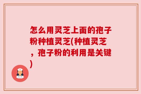 怎么用灵芝上面的孢子粉种植灵芝(种植灵芝,孢子粉的利用是关键) 怎么用灵芝上面的孢子粉种植灵芝(种植灵芝,孢子粉的利用是关键)