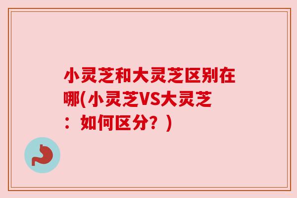 小灵芝和大灵芝区别在哪(小灵芝VS大灵芝：如何区分？)