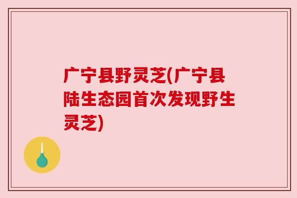 广宁县野灵芝(广宁县陆生态园首次发现野生灵芝) 广宁县野灵芝(广宁县陆生态园首次发现野生灵芝)