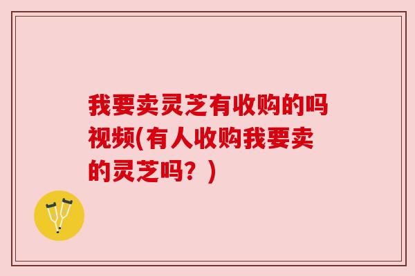 我要卖灵芝有收购的吗视频(有人收购我要卖的灵芝吗?) 我要卖灵芝有收购的吗视频(有人收购我要卖的灵芝吗?)
