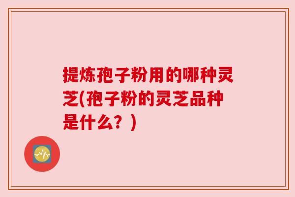 提炼孢子粉用的哪种灵芝(孢子粉的灵芝品种是什么？)