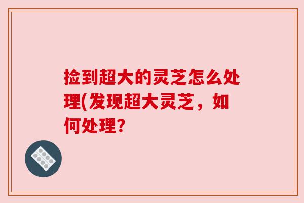 捡到超大的灵芝怎么处理(发现超大灵芝,如何处理? 捡到超大的灵芝怎么处理(发现超大灵芝,如何处理?