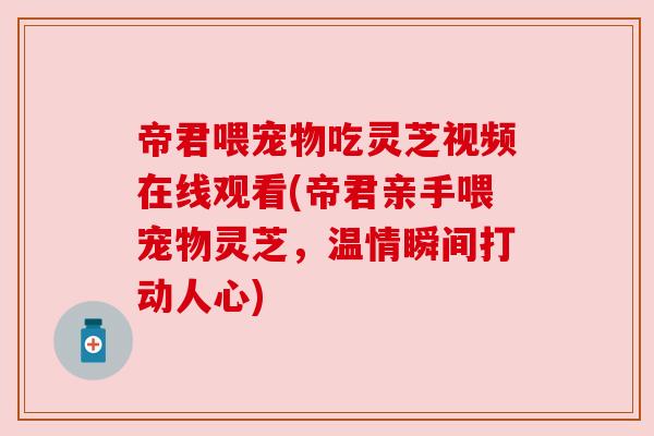 帝君喂宠物吃灵芝视频在线观看(帝君亲手喂宠物灵芝,温情瞬间打动人心) 帝君喂宠物吃灵芝视频在线观看(帝君亲手喂宠物灵芝,温情瞬间打动人心)